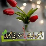 ماشي بنور الله - @__dalia__ali__ - Instagram