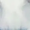 daliaali - @daliaali - TikTok