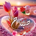 Dalia Morsi - Facebook