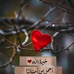 Dalia Moussa - @rouse_flower1991 - Instagram