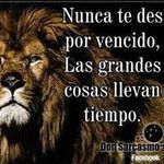 Dalia Muñiz - @dalia.muniz.102 - Instagram