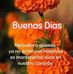 Dalia Nicolas - Facebook