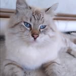 Dalia Nicolás - @mati_9699 - Instagram