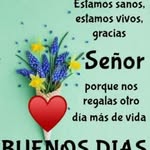 Dalia Obregón - @daliaobregon7198 - Instagram