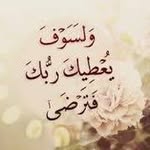 dalia odeh - @dalia_moghrabi - Instagram