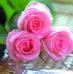 Dalia Osman - Facebook