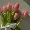 Dalia Osman - @dalia.osman39 - TikTok