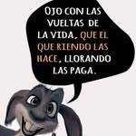 Dalia Padrón - @dalia.padron15 - Instagram