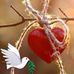 Dalia Paz - Facebook