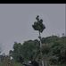 Dalah Pentom - Facebook