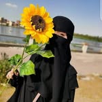 Dalia Ramadan - @daliaramadan305 - Instagram