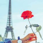 Dalia_Ramadan - @dalia_ramadan6 - Instagram