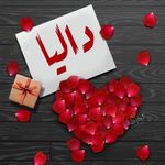Dalia Ramadan - @dalia.ramadan.9085 - Instagram