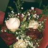 dalia_ramadan - @dalia_ramadan - TikTok