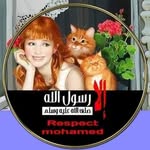 Dalia Rashed - @dalia_rashed_75 - Instagram