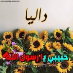 Dalia Rashed - @d.ahmed393 - Instagram