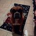 Dalia Recio - Facebook