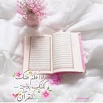 Dalia Reda - Facebook