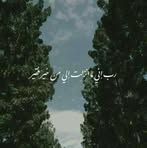 Dalia Reda - Facebook