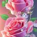 Dalia Rojas - Facebook