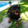 Dalia Rubio - @dalia_rubio - TikTok