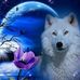 Dalia Serna - Facebook