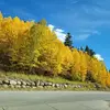 Dalia Vasquez - @dalia.vasquez7 - TikTok