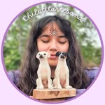 Dalia Vásquez • needle felting | vellón agujado - @chilotitartesana - Instagram