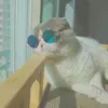 Dalia.Viera - @bergsgajorx - TikTok