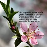 Dalila Ferrer - @dalfega - Instagram