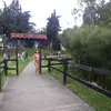Dalila Muñoz - @dalilaam22 - TikTok