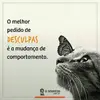 Dalila ribeiro - @dalila.ribeiro6 - TikTok