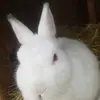 ♥️Angel&Dallas❤️ - @angle.dallas - TikTok
