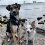 Asher And Dallas - @asher_and_dallas - Instagram