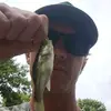 DallasBaxter15 - @dallasbaxter15 - TikTok