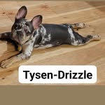 Esther Dallas Baxter - @dallas_tax - Instagram
