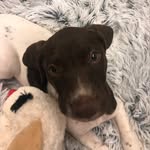 Dallas Becker - @dallas_gsp_ - Instagram