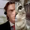 Dallas - @dallasdonovan0635 - TikTok