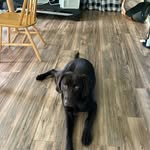 Dallas O’Donovan - @dallasodonovan - Instagram