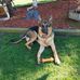 Dallas Dunn - Facebook