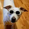 Dallas Edwards - @dallas.edwards - TikTok