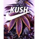 Dallas Fields Jr. - @leafblower720 - Instagram