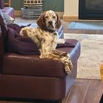 Dallas Karl Meyer - @dallaskarlmeyer - Instagram