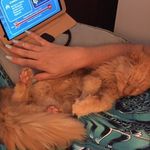 Dallas Keaton Meyer - @littlest_lion - Instagram