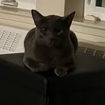 Dallas Meyer - @dallas.c.meyer - Instagram