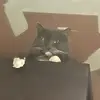 Crazyconky - @dallassmiley129 - TikTok