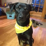Dallas Miley - @daily_dal - Instagram