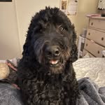 Bentley Dallas Morrow - @bentleydallasmorrow - Instagram