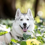 Dallas Murphy - @dallas.murphy - Instagram