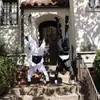 Dallas Meneely - @dallas.meneely - TikTok